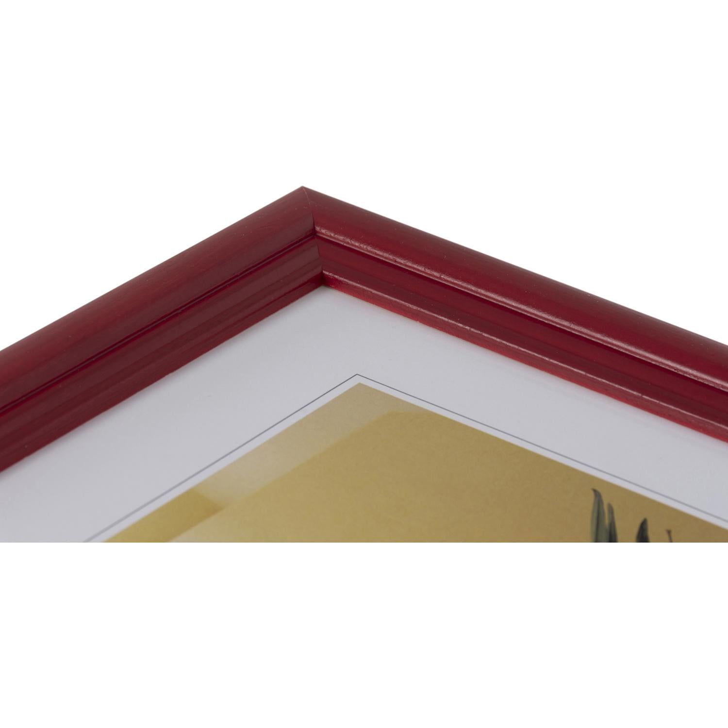 Fotolijst - Henzo - Artos - Fotomaat 15x20 cm - Rood