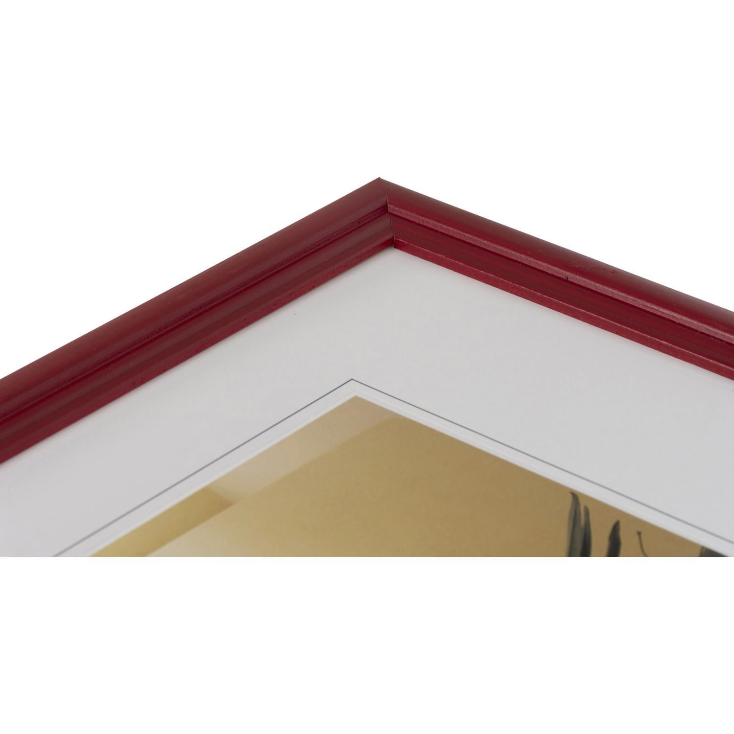 Fotolijst - Henzo - Artos - Fotomaat 20x30 cm - Rood