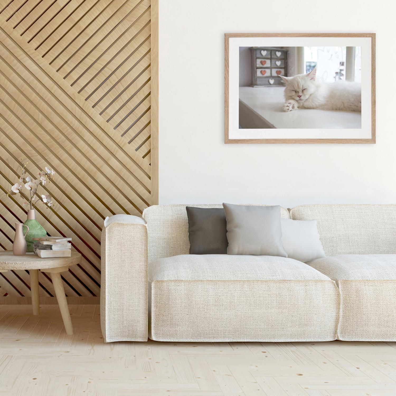 Fotolijst - Henzo - Modern - Fotomaat 50x70 cm - Donkerbruin