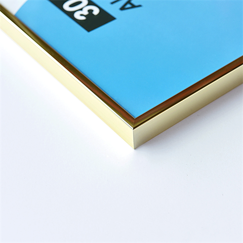 Nielsen Fotolijst 51321 Accent Goud 15x20 cm