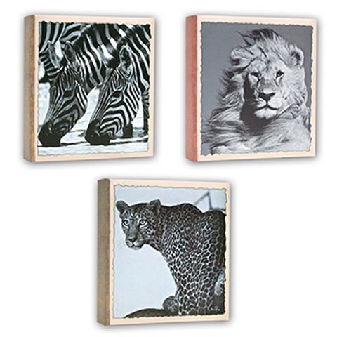 Zep WL57100 Album Slip-in 100 photos 13x19 cm - 12 albums