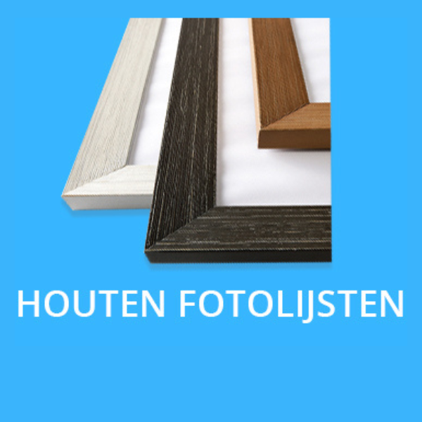 Hout
