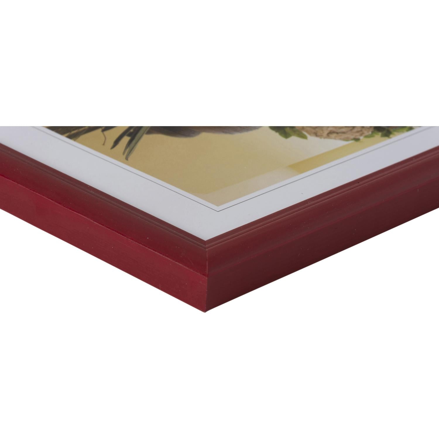 Fotolijst - Henzo - Artos - Fotomaat 13x18 cm - Rood